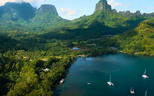 Tahiti (1)